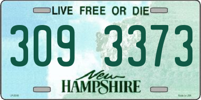 NH license plate 3093373