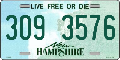 NH license plate 3093576