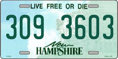 NH license plate 3093603