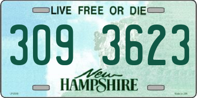 NH license plate 3093623