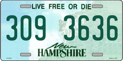 NH license plate 3093636
