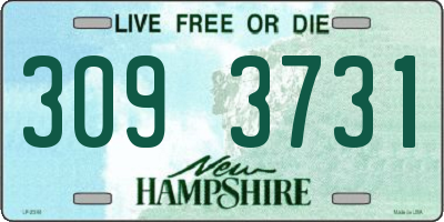 NH license plate 3093731