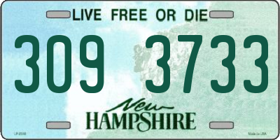 NH license plate 3093733