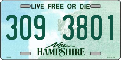 NH license plate 3093801