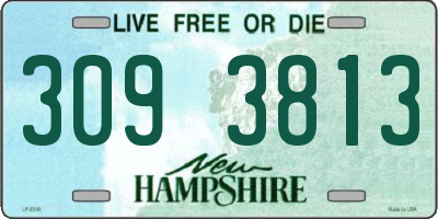 NH license plate 3093813