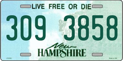 NH license plate 3093858