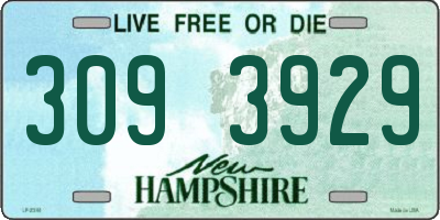 NH license plate 3093929