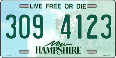 NH license plate 3094123