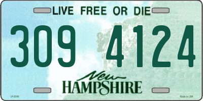 NH license plate 3094124