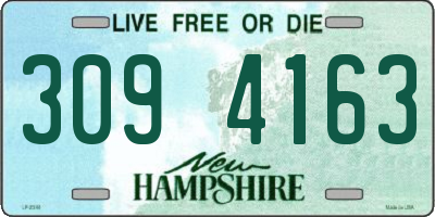 NH license plate 3094163