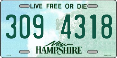 NH license plate 3094318