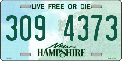 NH license plate 3094373