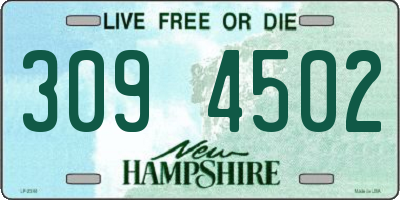NH license plate 3094502