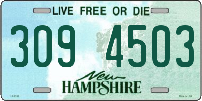 NH license plate 3094503
