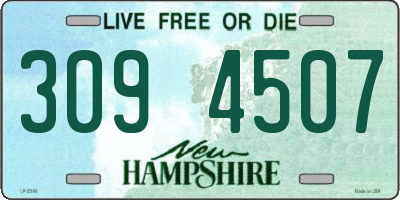 NH license plate 3094507