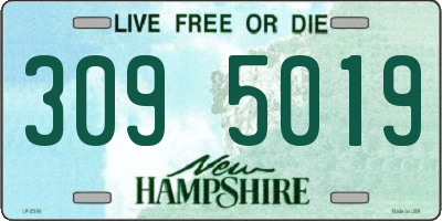NH license plate 3095019