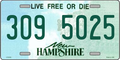 NH license plate 3095025