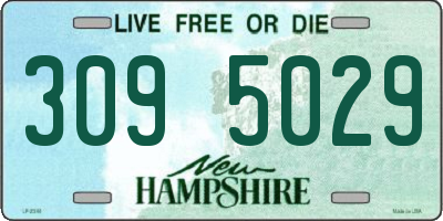 NH license plate 3095029