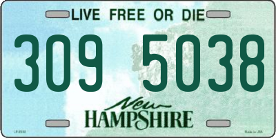 NH license plate 3095038