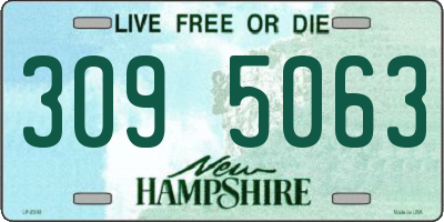 NH license plate 3095063
