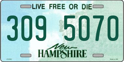 NH license plate 3095070