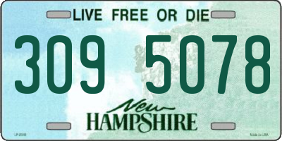 NH license plate 3095078