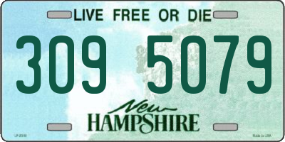 NH license plate 3095079