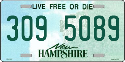 NH license plate 3095089