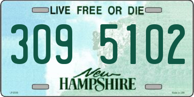 NH license plate 3095102