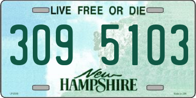 NH license plate 3095103