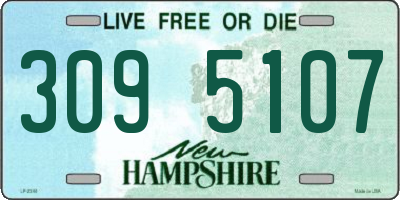 NH license plate 3095107