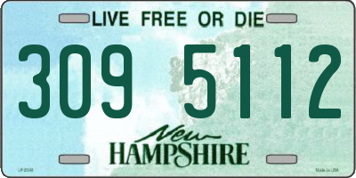 NH license plate 3095112