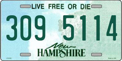 NH license plate 3095114