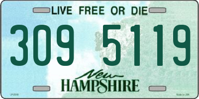 NH license plate 3095119