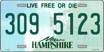NH license plate 3095123
