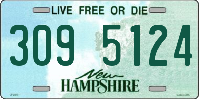 NH license plate 3095124