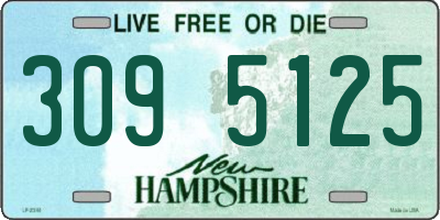 NH license plate 3095125