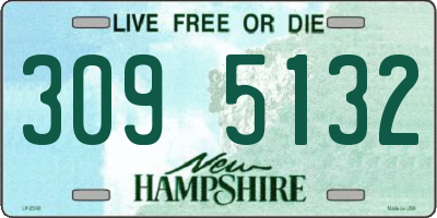 NH license plate 3095132