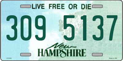NH license plate 3095137