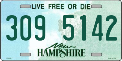 NH license plate 3095142