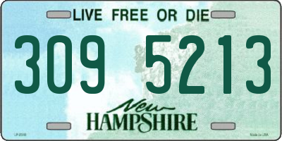 NH license plate 3095213