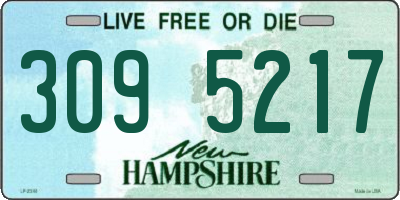NH license plate 3095217