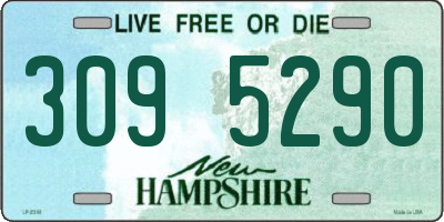 NH license plate 3095290