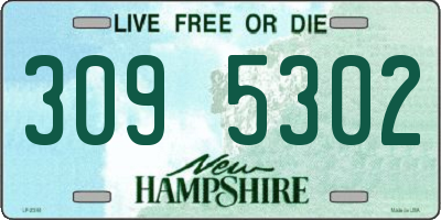 NH license plate 3095302