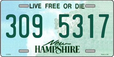 NH license plate 3095317