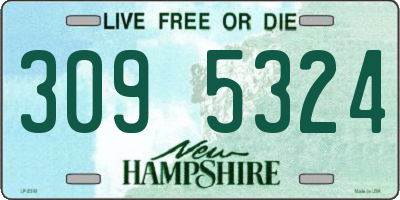 NH license plate 3095324