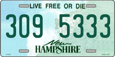 NH license plate 3095333