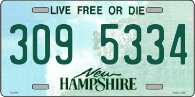 NH license plate 3095334