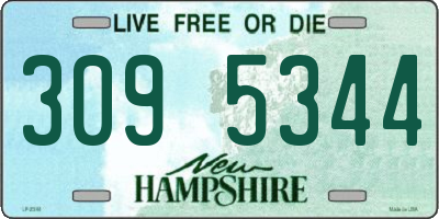 NH license plate 3095344
