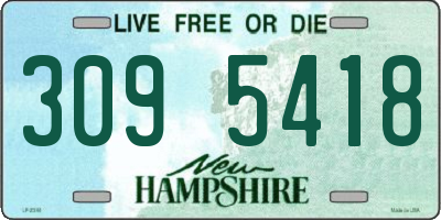 NH license plate 3095418